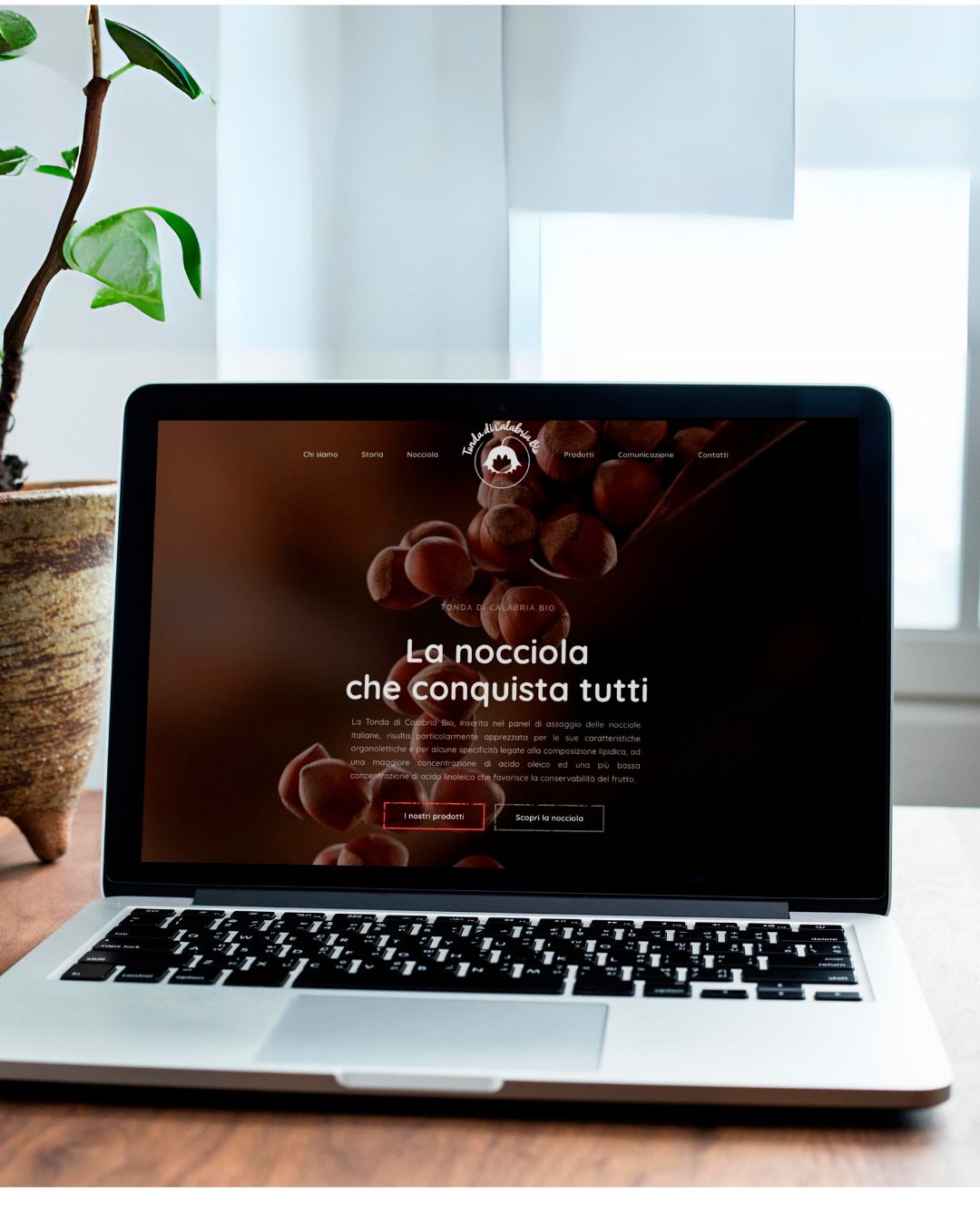 Lavoro realizzato da cfweb per: Tonda di Calabria Bio