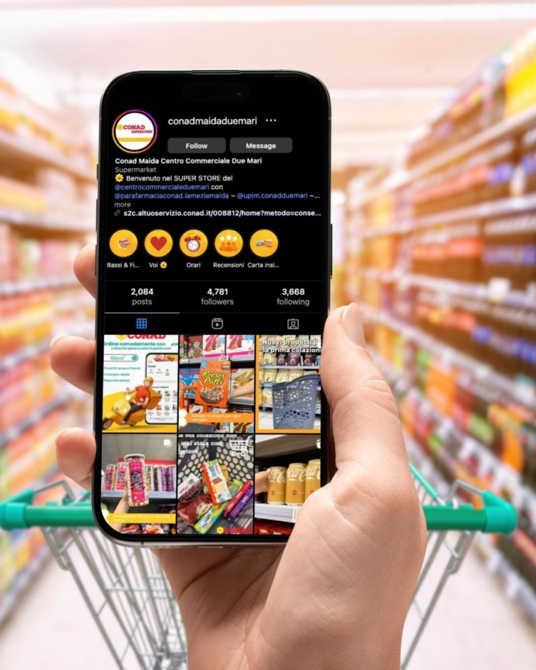 Lavoro realizzato da cfweb per: Conad Sorinat