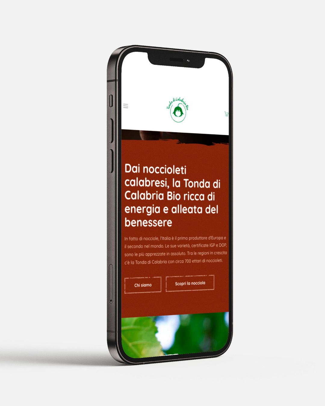 Lavoro realizzato da cfweb per: Tonda di Calabria Bio