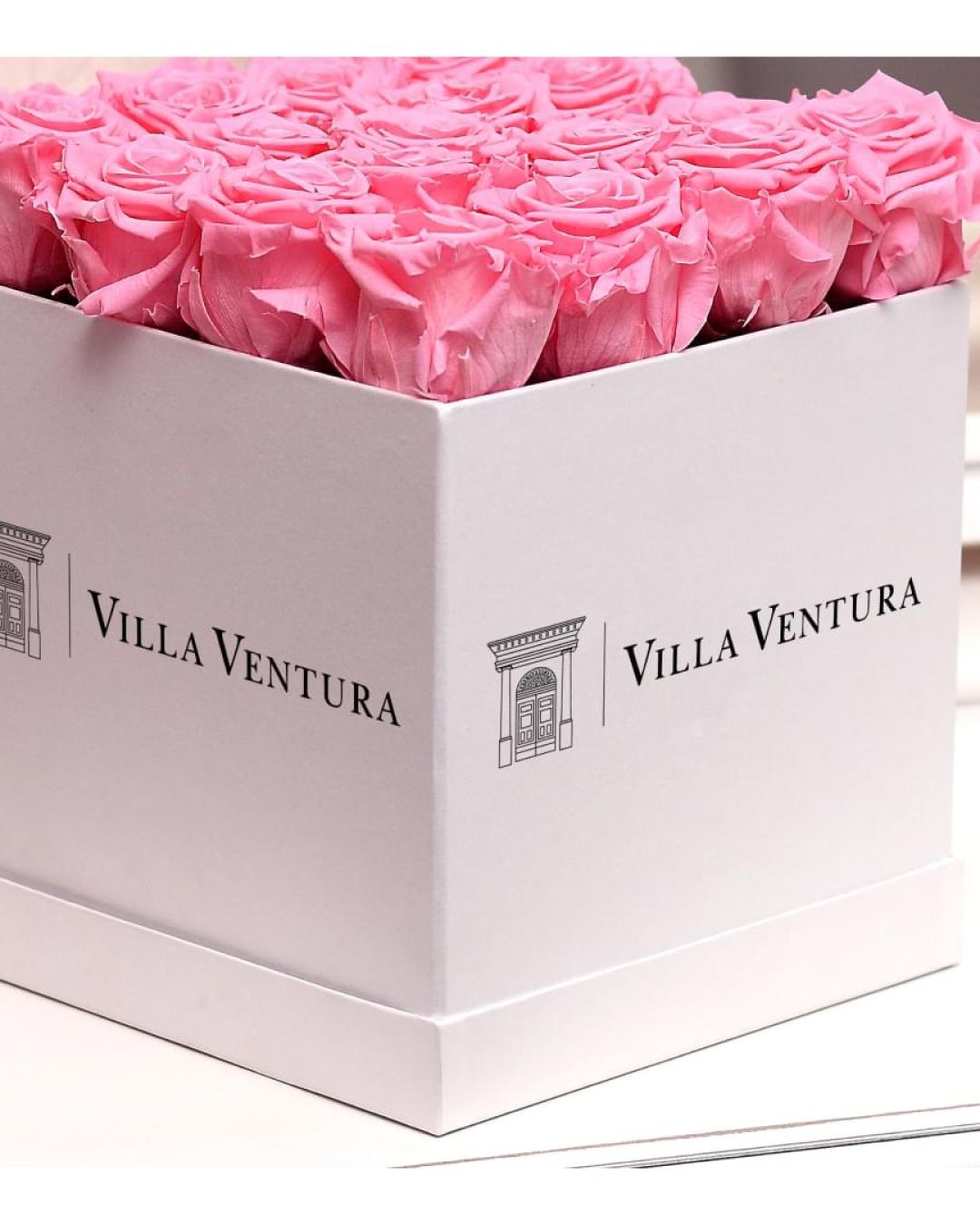 Lavoro realizzato da cfweb per: Villa Ventura