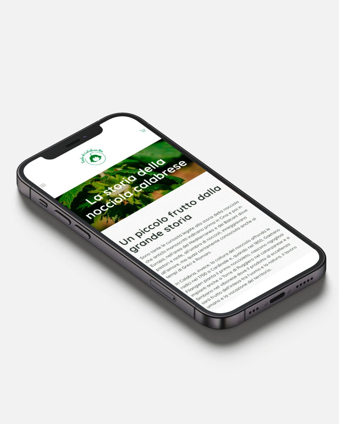 Tonda di Calabria Bio