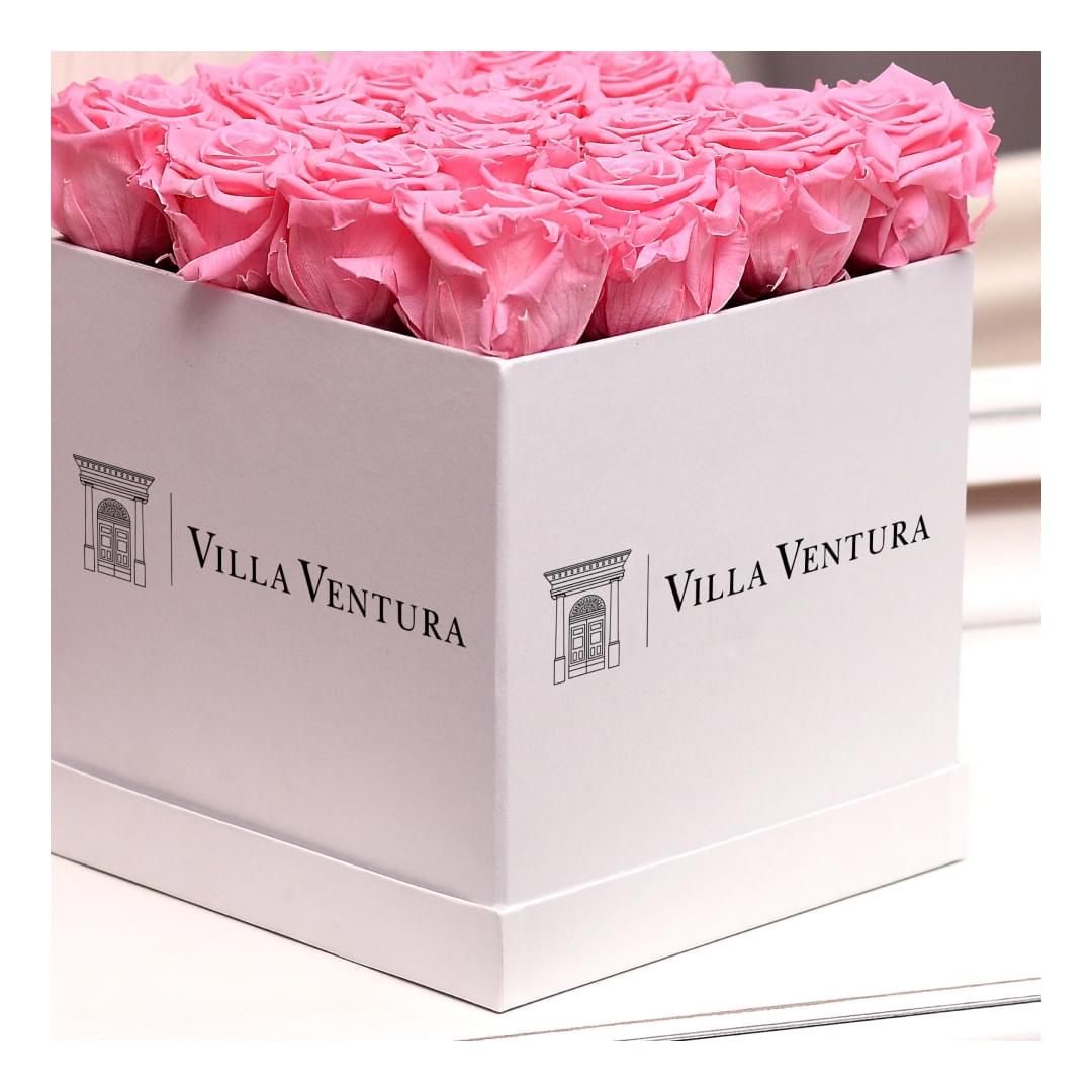 Lavoro realizzato da cfweb per: Villa Ventura