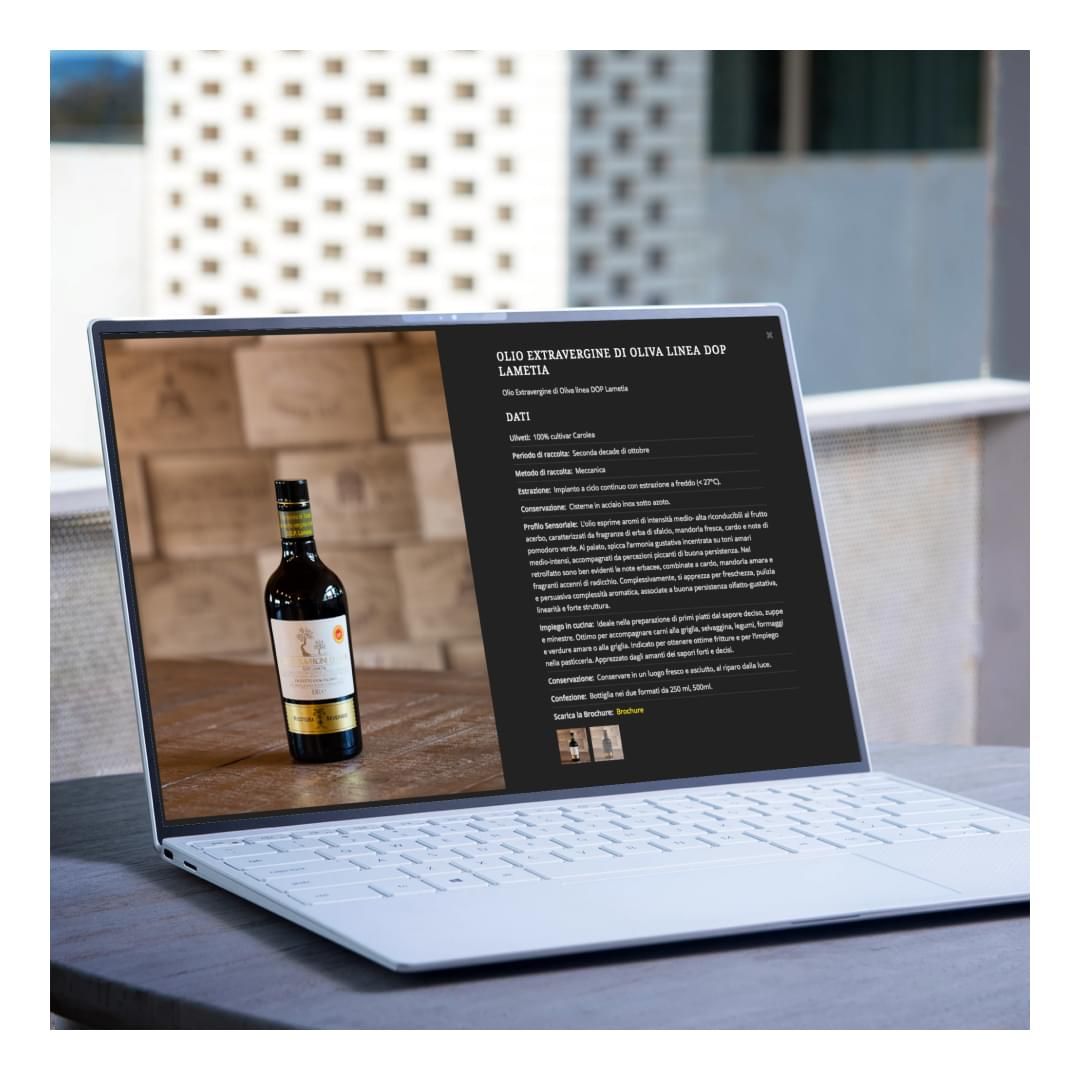 Lavoro realizzato da cfweb per: Nicotera Severisio